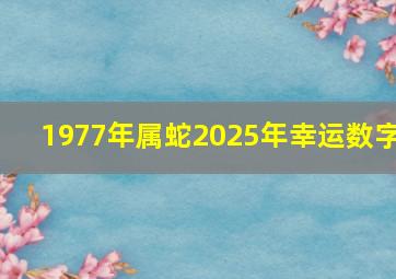 1977年属蛇2025年幸运数字