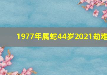 1977年属蛇44岁2021劫难