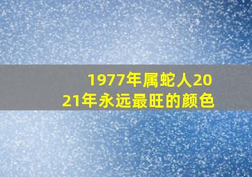 1977年属蛇人2021年永远最旺的颜色