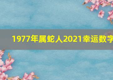 1977年属蛇人2021幸运数字