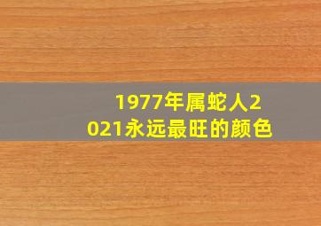 1977年属蛇人2021永远最旺的颜色