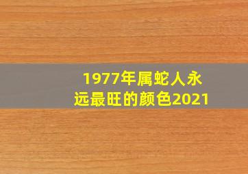 1977年属蛇人永远最旺的颜色2021