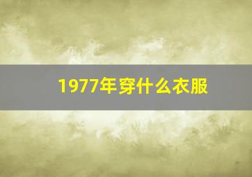 1977年穿什么衣服