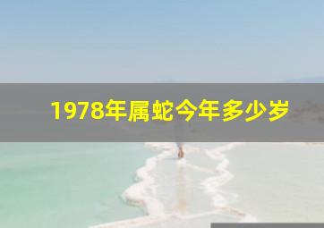 1978年属蛇今年多少岁