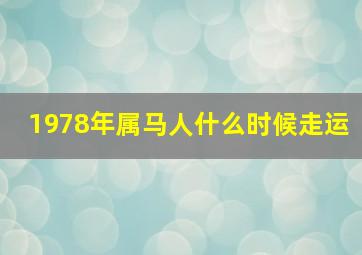 1978年属马人什么时候走运