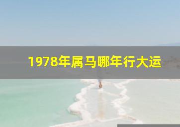 1978年属马哪年行大运