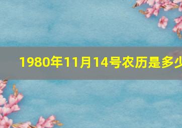 1980年11月14号农历是多少