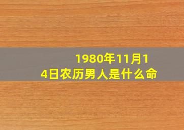 1980年11月14日农历男人是什么命