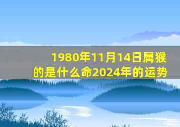 1980年11月14日属猴的是什么命2024年的运势