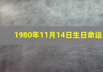 1980年11月14日生日命运