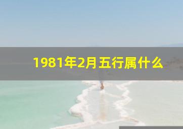 1981年2月五行属什么