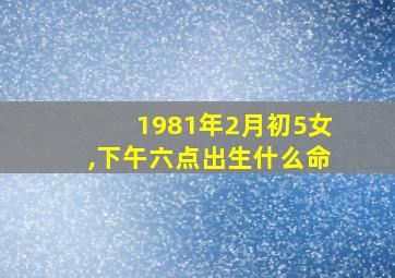 1981年2月初5女,下午六点出生什么命