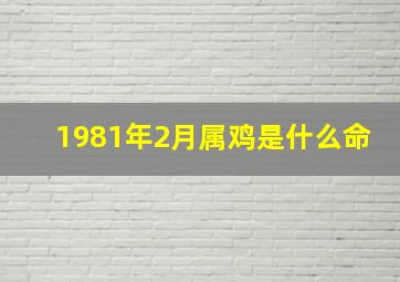 1981年2月属鸡是什么命