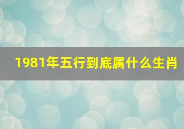 1981年五行到底属什么生肖