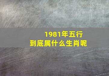 1981年五行到底属什么生肖呢