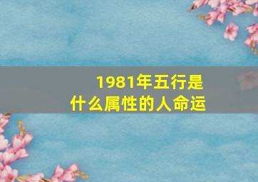 1981年五行是什么属性的人命运