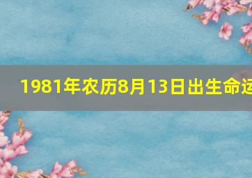 1981年农历8月13日出生命运