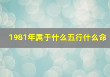 1981年属于什么五行什么命