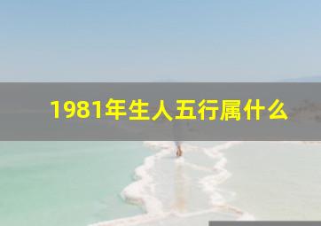 1981年生人五行属什么