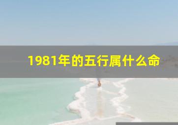 1981年的五行属什么命