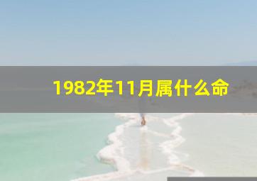 1982年11月属什么命