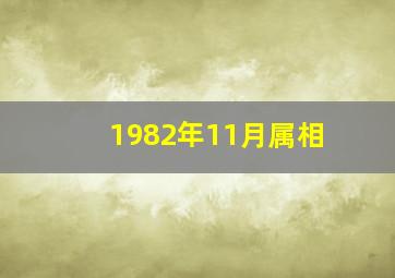 1982年11月属相