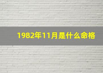 1982年11月是什么命格