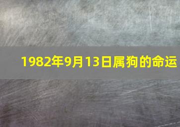 1982年9月13日属狗的命运