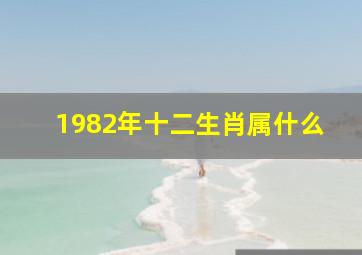 1982年十二生肖属什么