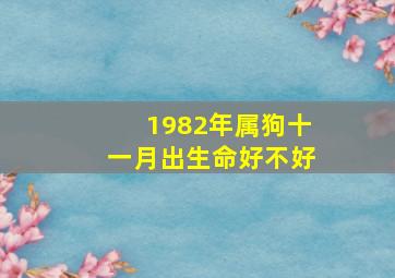 1982年属狗十一月出生命好不好