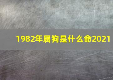 1982年属狗是什么命2021