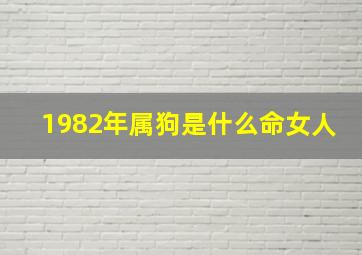 1982年属狗是什么命女人