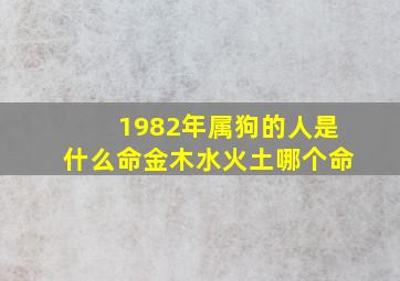 1982年属狗的人是什么命金木水火土哪个命