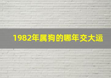 1982年属狗的哪年交大运