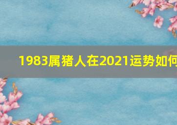 1983属猪人在2021运势如何