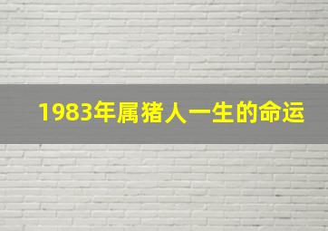 1983年属猪人一生的命运