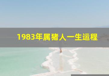 1983年属猪人一生运程