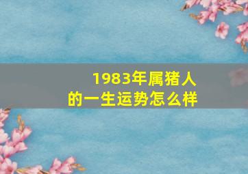 1983年属猪人的一生运势怎么样