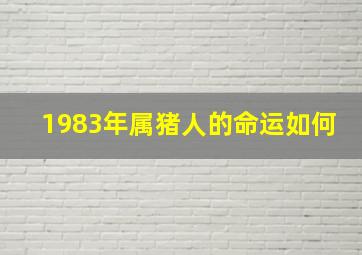 1983年属猪人的命运如何