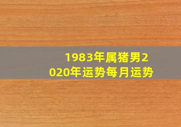 1983年属猪男2020年运势每月运势