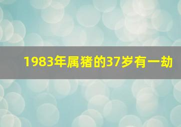 1983年属猪的37岁有一劫