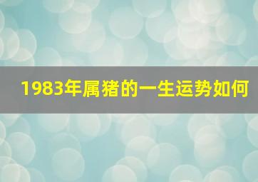 1983年属猪的一生运势如何