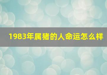 1983年属猪的人命运怎么样