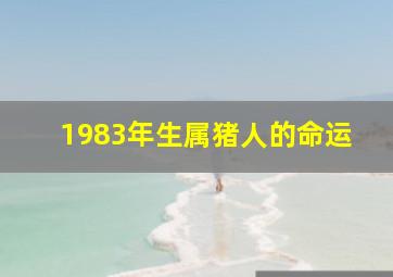 1983年生属猪人的命运