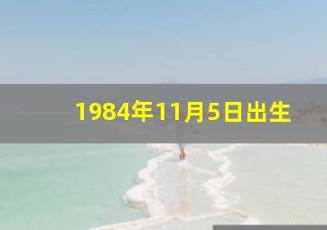 1984年11月5日出生