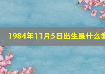 1984年11月5日出生是什么命