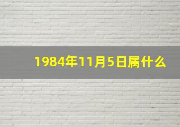 1984年11月5日属什么