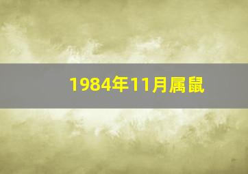 1984年11月属鼠