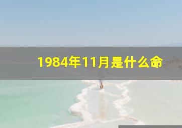 1984年11月是什么命