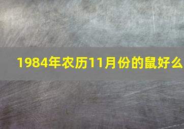 1984年农历11月份的鼠好么